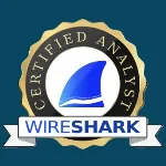 Wireshark 抓包工具 v4.6.7免费稳定版